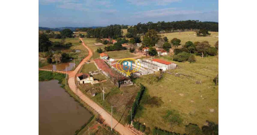 Sítio, 4 quartos, 2920 m² - Foto 7