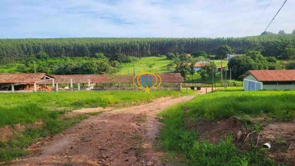 Sítio, 4 quartos, 2920 m² - Foto 33