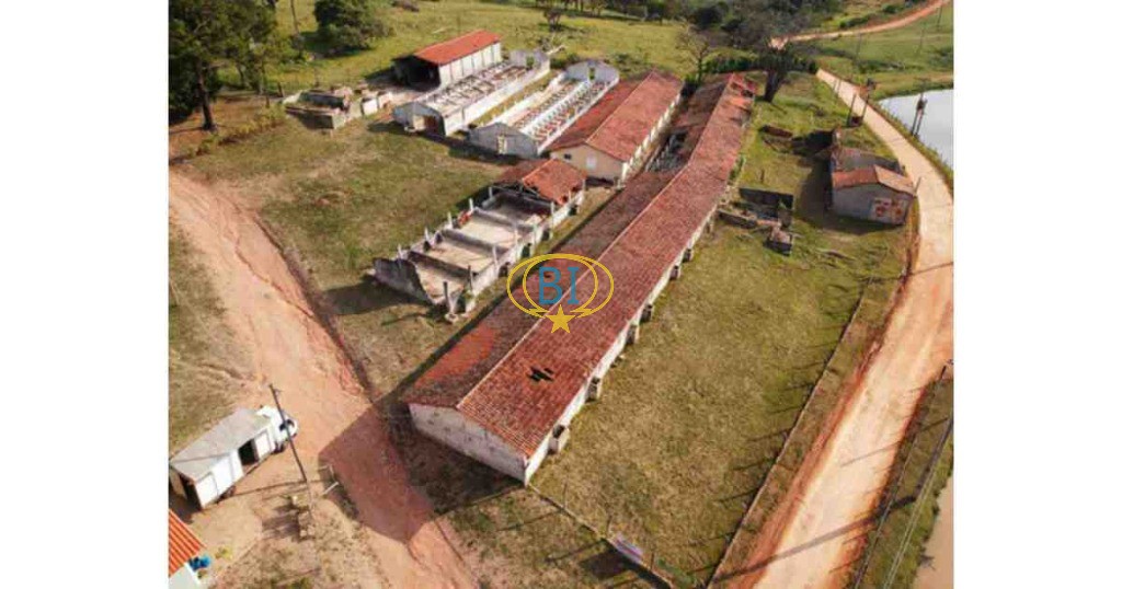 Sítio, 4 quartos, 2920 m² - Foto 4