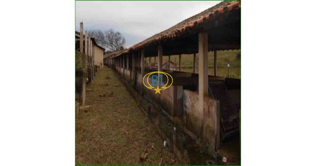 Sítio, 4 quartos, 2920 m² - Foto 28