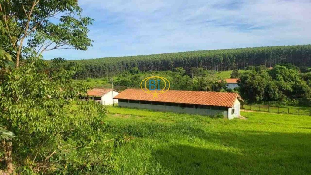 Sítio, 4 quartos, 2920 m² - Foto 1