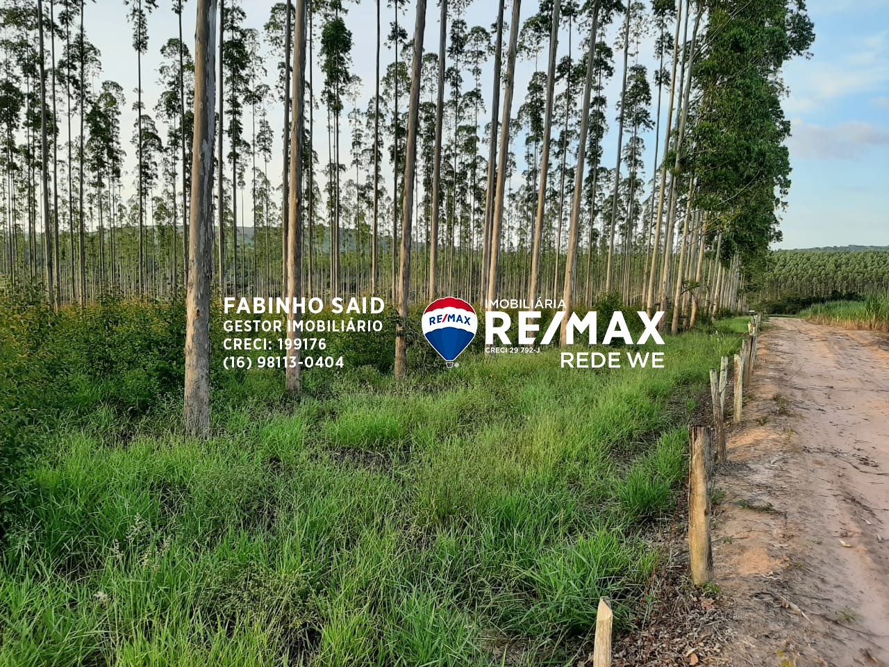 Fazenda, 118 m² - Foto 7