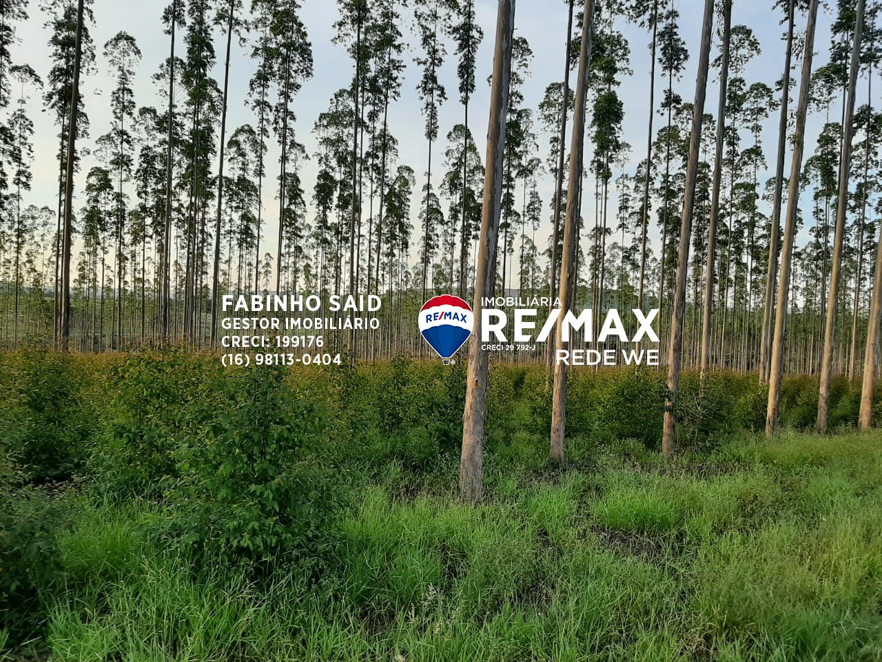 Fazenda, 118 m² - Foto 8