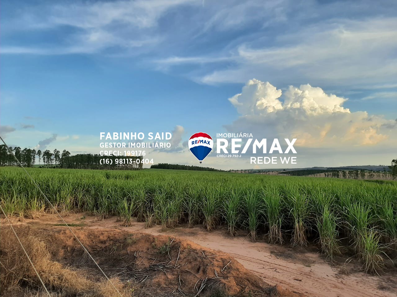 Fazenda, 118 m² - Foto 4