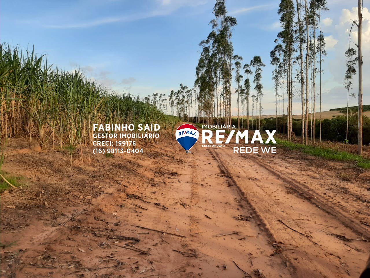 Fazenda, 118 m² - Foto 6