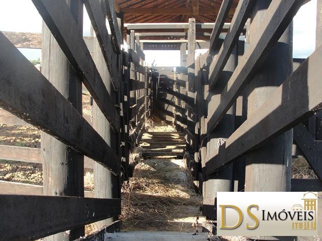 Sítio em Itapetininga/São Paulo — Ref MXZOC9 — Imagem 2