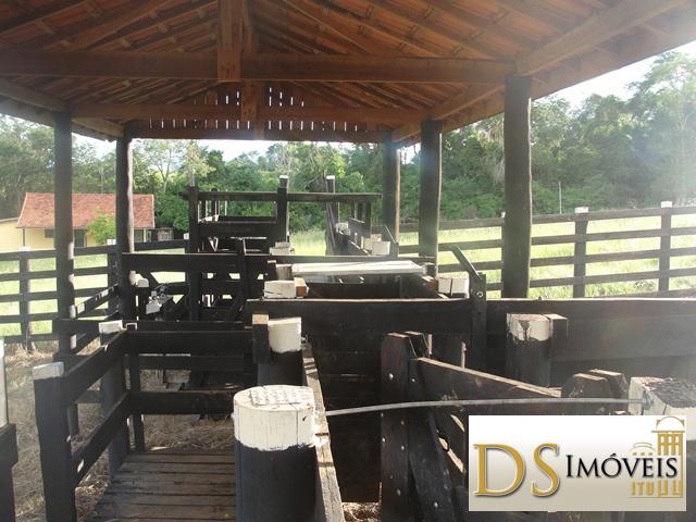 Sítio em Itapetininga/São Paulo — Ref MXZOC9 — Imagem 3