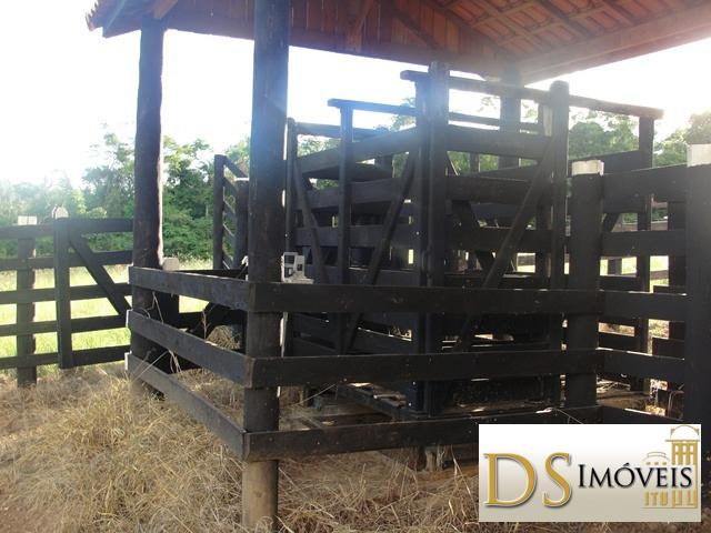 Sítio em Itapetininga/São Paulo — Ref MXZOC9 — Imagem 4