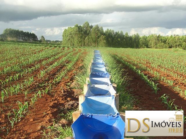 Sítio em Itapetininga/São Paulo — Ref MXZOC9 — Imagem 5