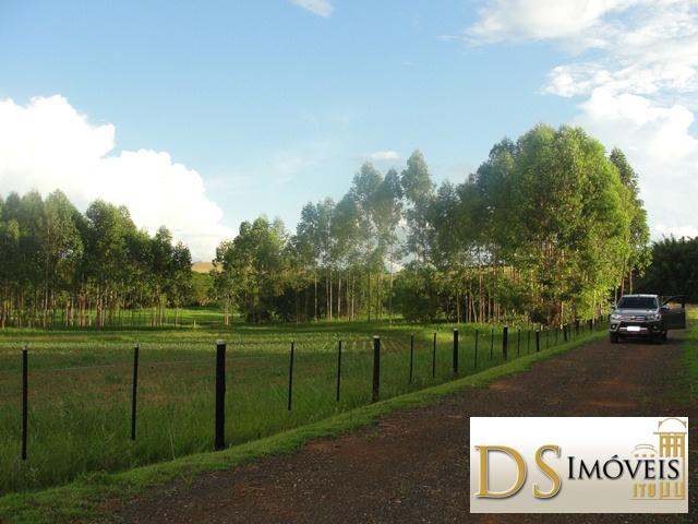 Sítio em Itapetininga/São Paulo — Ref MXZOC9 — Imagem 14