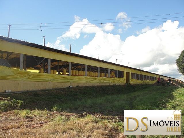 Sítio em Itapetininga/São Paulo — Ref MXZOC9 — Imagem 8