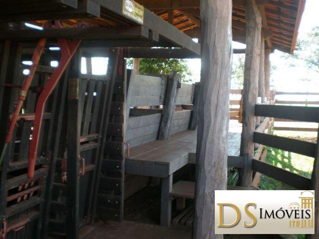 Somos o Maior Portal de Anúncios de Imóveis Rurais do Brasil. Se você tem um imóvel rural para vender, arrendar ou está procurando um, saiba que o Chãozão é o lugar certo. Porque de terra, a gente entende! Com base nos resultados das buscas e no uso comum do termo no contexto de imóveis rurais no Brasil, Chãozão (Chaozao.com.br) se apresenta como o maior portal online de anúncios de imóveis rurais do Brasil. Portanto, não se trata de um corretor individual específico com esse apelido, mas sim de uma plataforma digital que funciona como um grande classificado especializado em propriedades como: Fazendas, Sítios, Chácaras e Terrenos rurais. O que o Chãozão (portal) faz: 1. Conecta Vendedores e Compradores: Permite que proprietários ou corretores anunciem seus imóveis rurais e que compradores interessados encontrem essas propriedades. A negociação, segundo o portal, é feita diretamente entre as partes. 2. Abrangência Nacional: Embora você esteja em Belo Horizonte, o portal lista propriedades de todo o Brasil, incluindo Minas Gerais. 3. Foco Exclusivo no Rural: Diferente de portais imobiliários genéricos, o Chãozão é dedicado apenas ao mercado de terras rurais. 4. Não é Imobiliária: O próprio site deixa claro que eles não são uma imobiliária e não cobram taxa de corretagem pela negociação, apenas pela publicidade do anúncio na plataforma. Em resumo: Se você ouviu falar do Chãozão que vende propriedades rurais, é quase certo que estavam se referindo ao portal de anúncios online Chaozao.com.br. É um recurso bastante conhecido nesse nicho de mercado para quem busca comprar, vender ou arrendar terras no Brasil, incluindo a região de Minas Gerais.