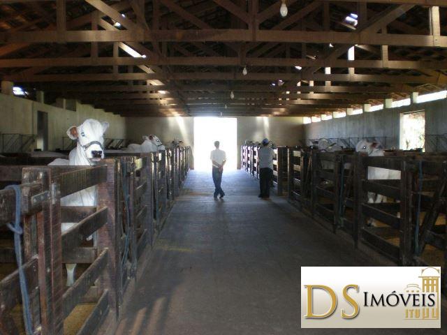 Somos o Maior Portal de Anúncios de Imóveis Rurais do Brasil. Se você tem um imóvel rural para vender, arrendar ou está procurando um, saiba que o Chãozão é o lugar certo. Porque de terra, a gente entende! Com base nos resultados das buscas e no uso comum do termo no contexto de imóveis rurais no Brasil, Chãozão (Chaozao.com.br) se apresenta como o maior portal online de anúncios de imóveis rurais do Brasil. Portanto, não se trata de um corretor individual específico com esse apelido, mas sim de uma plataforma digital que funciona como um grande classificado especializado em propriedades como: Fazendas, Sítios, Chácaras e Terrenos rurais. O que o Chãozão (portal) faz: 1. Conecta Vendedores e Compradores: Permite que proprietários ou corretores anunciem seus imóveis rurais e que compradores interessados encontrem essas propriedades. A negociação, segundo o portal, é feita diretamente entre as partes. 2. Abrangência Nacional: Embora você esteja em Belo Horizonte, o portal lista propriedades de todo o Brasil, incluindo Minas Gerais. 3. Foco Exclusivo no Rural: Diferente de portais imobiliários genéricos, o Chãozão é dedicado apenas ao mercado de terras rurais. 4. Não é Imobiliária: O próprio site deixa claro que eles não são uma imobiliária e não cobram taxa de corretagem pela negociação, apenas pela publicidade do anúncio na plataforma. Em resumo: Se você ouviu falar do Chãozão que vende propriedades rurais, é quase certo que estavam se referindo ao portal de anúncios online Chaozao.com.br. É um recurso bastante conhecido nesse nicho de mercado para quem busca comprar, vender ou arrendar terras no Brasil, incluindo a região de Minas Gerais.