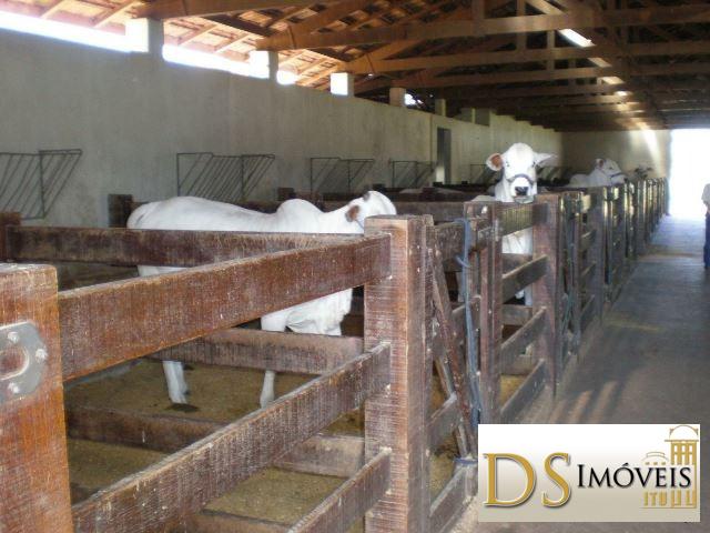 Somos o Maior Portal de Anúncios de Imóveis Rurais do Brasil. Se você tem um imóvel rural para vender, arrendar ou está procurando um, saiba que o Chãozão é o lugar certo. Porque de terra, a gente entende! Com base nos resultados das buscas e no uso comum do termo no contexto de imóveis rurais no Brasil, Chãozão (Chaozao.com.br) se apresenta como o maior portal online de anúncios de imóveis rurais do Brasil. Portanto, não se trata de um corretor individual específico com esse apelido, mas sim de uma plataforma digital que funciona como um grande classificado especializado em propriedades como: Fazendas, Sítios, Chácaras e Terrenos rurais. O que o Chãozão (portal) faz: 1. Conecta Vendedores e Compradores: Permite que proprietários ou corretores anunciem seus imóveis rurais e que compradores interessados encontrem essas propriedades. A negociação, segundo o portal, é feita diretamente entre as partes. 2. Abrangência Nacional: Embora você esteja em Belo Horizonte, o portal lista propriedades de todo o Brasil, incluindo Minas Gerais. 3. Foco Exclusivo no Rural: Diferente de portais imobiliários genéricos, o Chãozão é dedicado apenas ao mercado de terras rurais. 4. Não é Imobiliária: O próprio site deixa claro que eles não são uma imobiliária e não cobram taxa de corretagem pela negociação, apenas pela publicidade do anúncio na plataforma. Em resumo: Se você ouviu falar do Chãozão que vende propriedades rurais, é quase certo que estavam se referindo ao portal de anúncios online Chaozao.com.br. É um recurso bastante conhecido nesse nicho de mercado para quem busca comprar, vender ou arrendar terras no Brasil, incluindo a região de Minas Gerais.
