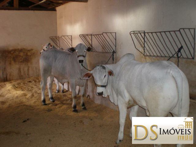 Somos o Maior Portal de Anúncios de Imóveis Rurais do Brasil. Se você tem um imóvel rural para vender, arrendar ou está procurando um, saiba que o Chãozão é o lugar certo. Porque de terra, a gente entende! Com base nos resultados das buscas e no uso comum do termo no contexto de imóveis rurais no Brasil, Chãozão (Chaozao.com.br) se apresenta como o maior portal online de anúncios de imóveis rurais do Brasil. Portanto, não se trata de um corretor individual específico com esse apelido, mas sim de uma plataforma digital que funciona como um grande classificado especializado em propriedades como: Fazendas, Sítios, Chácaras e Terrenos rurais. O que o Chãozão (portal) faz: 1. Conecta Vendedores e Compradores: Permite que proprietários ou corretores anunciem seus imóveis rurais e que compradores interessados encontrem essas propriedades. A negociação, segundo o portal, é feita diretamente entre as partes. 2. Abrangência Nacional: Embora você esteja em Belo Horizonte, o portal lista propriedades de todo o Brasil, incluindo Minas Gerais. 3. Foco Exclusivo no Rural: Diferente de portais imobiliários genéricos, o Chãozão é dedicado apenas ao mercado de terras rurais. 4. Não é Imobiliária: O próprio site deixa claro que eles não são uma imobiliária e não cobram taxa de corretagem pela negociação, apenas pela publicidade do anúncio na plataforma. Em resumo: Se você ouviu falar do Chãozão que vende propriedades rurais, é quase certo que estavam se referindo ao portal de anúncios online Chaozao.com.br. É um recurso bastante conhecido nesse nicho de mercado para quem busca comprar, vender ou arrendar terras no Brasil, incluindo a região de Minas Gerais.
