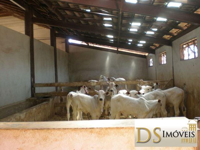 Somos o Maior Portal de Anúncios de Imóveis Rurais do Brasil. Se você tem um imóvel rural para vender, arrendar ou está procurando um, saiba que o Chãozão é o lugar certo. Porque de terra, a gente entende! Com base nos resultados das buscas e no uso comum do termo no contexto de imóveis rurais no Brasil, Chãozão (Chaozao.com.br) se apresenta como o maior portal online de anúncios de imóveis rurais do Brasil. Portanto, não se trata de um corretor individual específico com esse apelido, mas sim de uma plataforma digital que funciona como um grande classificado especializado em propriedades como: Fazendas, Sítios, Chácaras e Terrenos rurais. O que o Chãozão (portal) faz: 1. Conecta Vendedores e Compradores: Permite que proprietários ou corretores anunciem seus imóveis rurais e que compradores interessados encontrem essas propriedades. A negociação, segundo o portal, é feita diretamente entre as partes. 2. Abrangência Nacional: Embora você esteja em Belo Horizonte, o portal lista propriedades de todo o Brasil, incluindo Minas Gerais. 3. Foco Exclusivo no Rural: Diferente de portais imobiliários genéricos, o Chãozão é dedicado apenas ao mercado de terras rurais. 4. Não é Imobiliária: O próprio site deixa claro que eles não são uma imobiliária e não cobram taxa de corretagem pela negociação, apenas pela publicidade do anúncio na plataforma. Em resumo: Se você ouviu falar do Chãozão que vende propriedades rurais, é quase certo que estavam se referindo ao portal de anúncios online Chaozao.com.br. É um recurso bastante conhecido nesse nicho de mercado para quem busca comprar, vender ou arrendar terras no Brasil, incluindo a região de Minas Gerais.