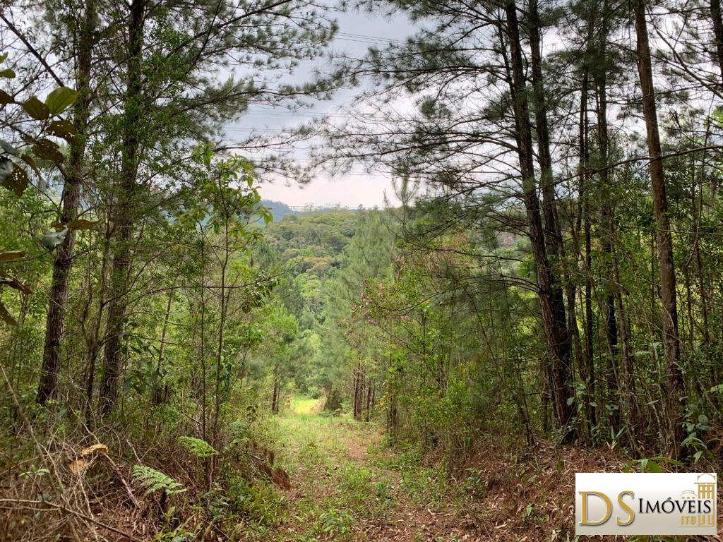 Fazenda em São Lourenço da Serra/São Paulo — Ref P5HRN7 — Imagem 36