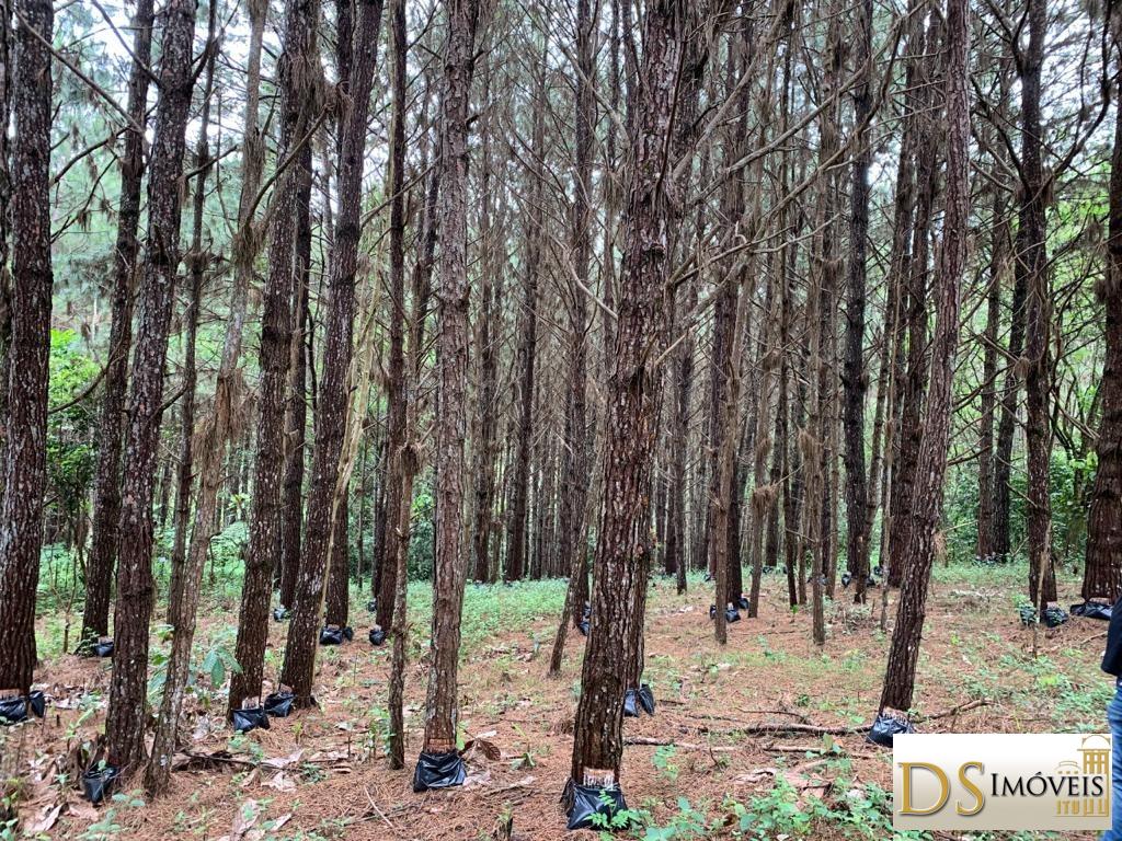 Fazenda em São Lourenço da Serra/São Paulo — Ref P5HRN7 — Imagem 39