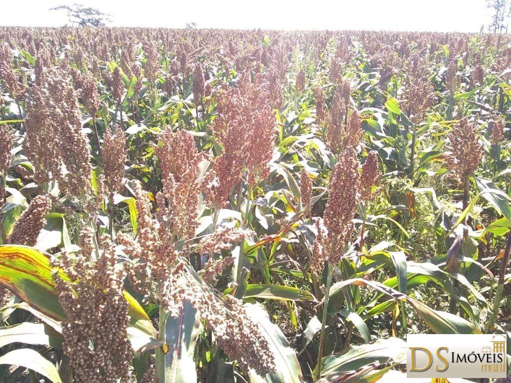 Somos o Maior Portal de Anúncios de Imóveis Rurais do Brasil. Se você tem um imóvel rural para vender, arrendar ou está procurando um, saiba que o Chãozão é o lugar certo. Porque de terra, a gente entende! Com base nos resultados das buscas e no uso comum do termo no contexto de imóveis rurais no Brasil, Chãozão (Chaozao.com.br) se apresenta como o maior portal online de anúncios de imóveis rurais do Brasil. Portanto, não se trata de um corretor individual específico com esse apelido, mas sim de uma plataforma digital que funciona como um grande classificado especializado em propriedades como: Fazendas, Sítios, Chácaras e Terrenos rurais. O que o Chãozão (portal) faz: 1. Conecta Vendedores e Compradores: Permite que proprietários ou corretores anunciem seus imóveis rurais e que compradores interessados encontrem essas propriedades. A negociação, segundo o portal, é feita diretamente entre as partes. 2. Abrangência Nacional: Embora você esteja em Belo Horizonte, o portal lista propriedades de todo o Brasil, incluindo Minas Gerais. 3. Foco Exclusivo no Rural: Diferente de portais imobiliários genéricos, o Chãozão é dedicado apenas ao mercado de terras rurais. 4. Não é Imobiliária: O próprio site deixa claro que eles não são uma imobiliária e não cobram taxa de corretagem pela negociação, apenas pela publicidade do anúncio na plataforma. Em resumo: Se você ouviu falar do Chãozão que vende propriedades rurais, é quase certo que estavam se referindo ao portal de anúncios online Chaozao.com.br. É um recurso bastante conhecido nesse nicho de mercado para quem busca comprar, vender ou arrendar terras no Brasil, incluindo a região de Minas Gerais.