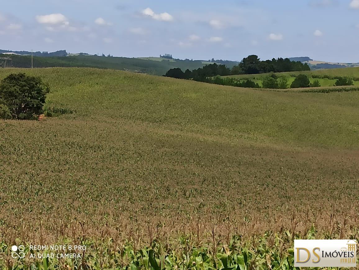 Fazenda em São Miguel Arcanjo/São Paulo — Ref ECX8WG — Imagem 7