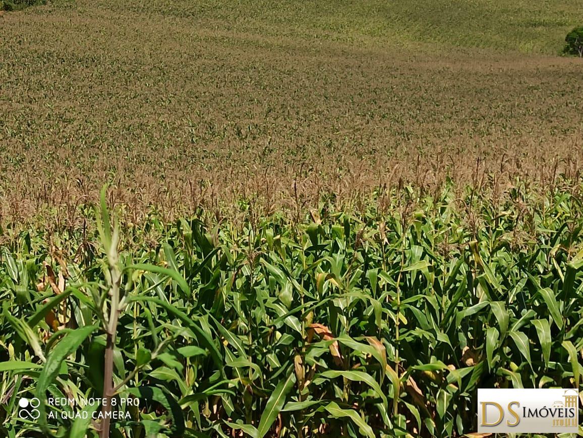 Fazenda em São Miguel Arcanjo/São Paulo — Ref ECX8WG — Imagem 9