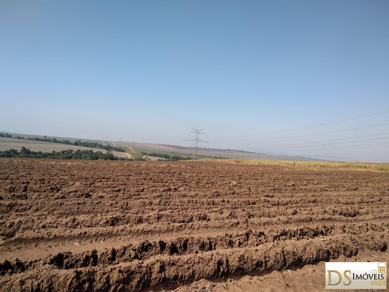 Fazenda em Santa Maria da Serra/São Paulo — Ref 2YL6CY — Imagem 6