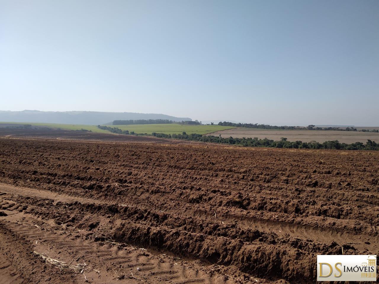Fazenda em Santa Maria da Serra/São Paulo — Ref 2YL6CY — Imagem 4