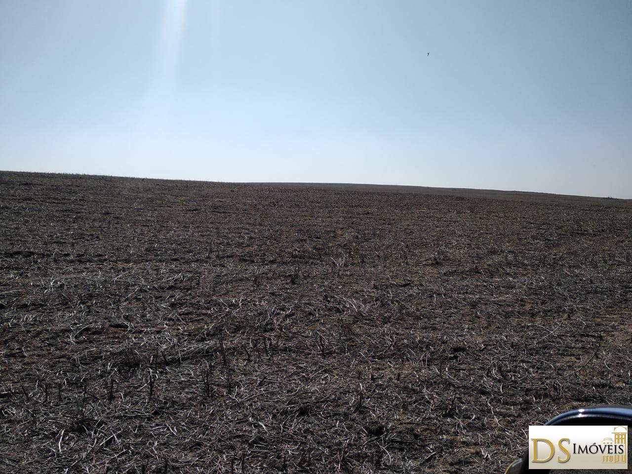 Fazenda em Santa Maria da Serra/São Paulo — Ref 2YL6CY — Imagem 8