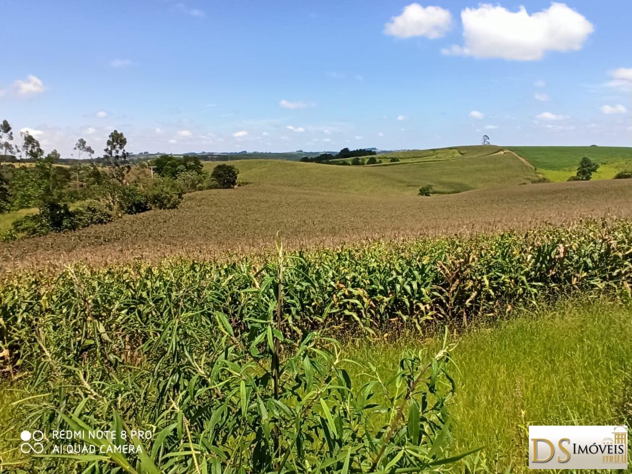 Fazenda em São Miguel Arcanjo/São Paulo — Ref ECX8WG — Imagem 5