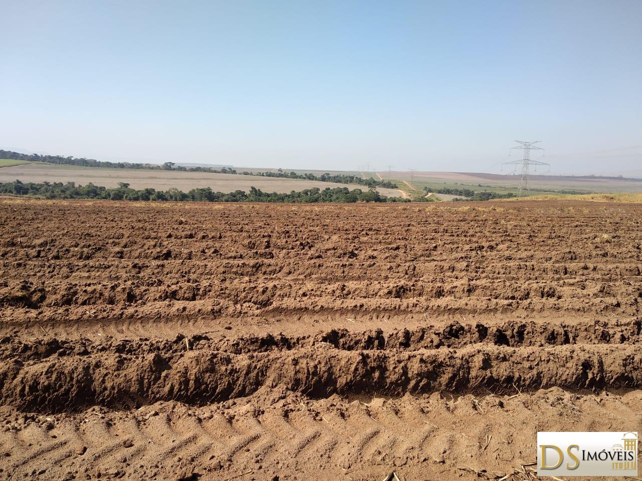 Fazenda em Santa Maria da Serra/São Paulo — Ref 2YL6CY — Imagem 7