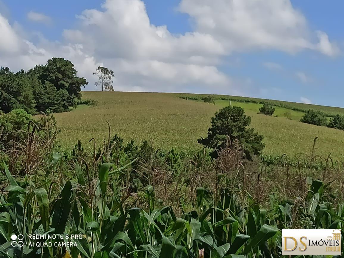 Fazenda em São Miguel Arcanjo/São Paulo — Ref ECX8WG — Imagem 10