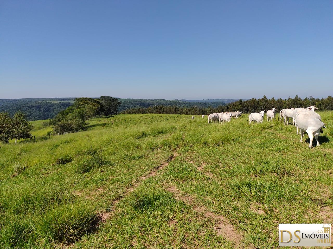 Fazenda em Garça/São Paulo — Ref MHO712 — Imagem 6
