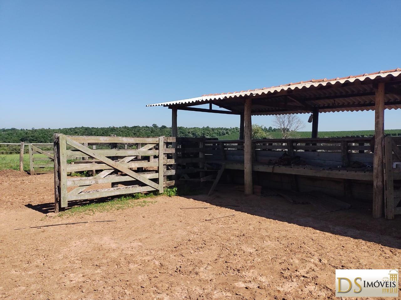 Fazenda em Garça/São Paulo — Ref MHO712 — Imagem 2