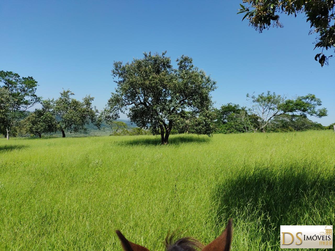 Fazenda em Garça/São Paulo — Ref MHO712 — Imagem 7