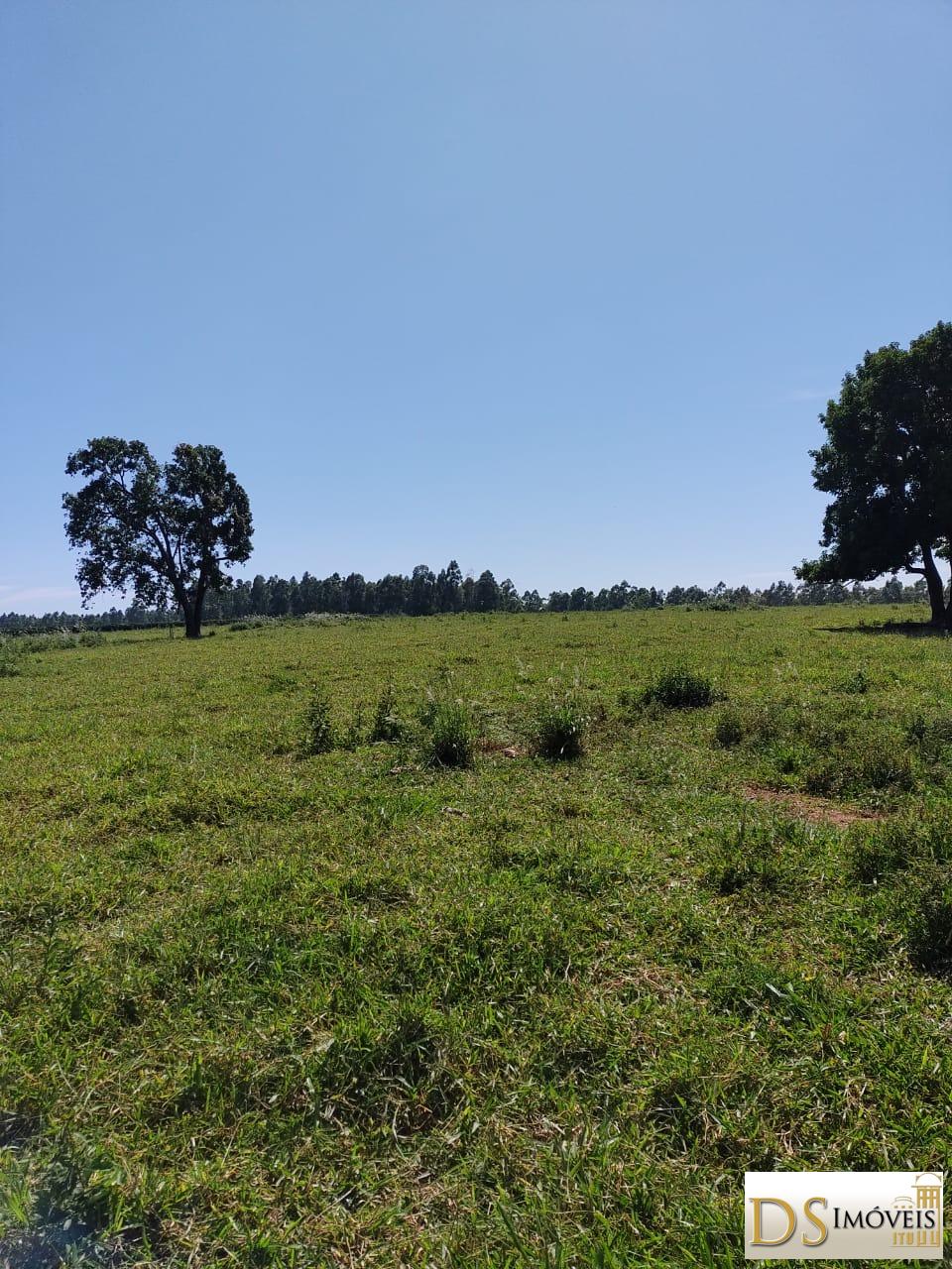 Fazenda em Garça/São Paulo — Ref MHO712 — Imagem 13