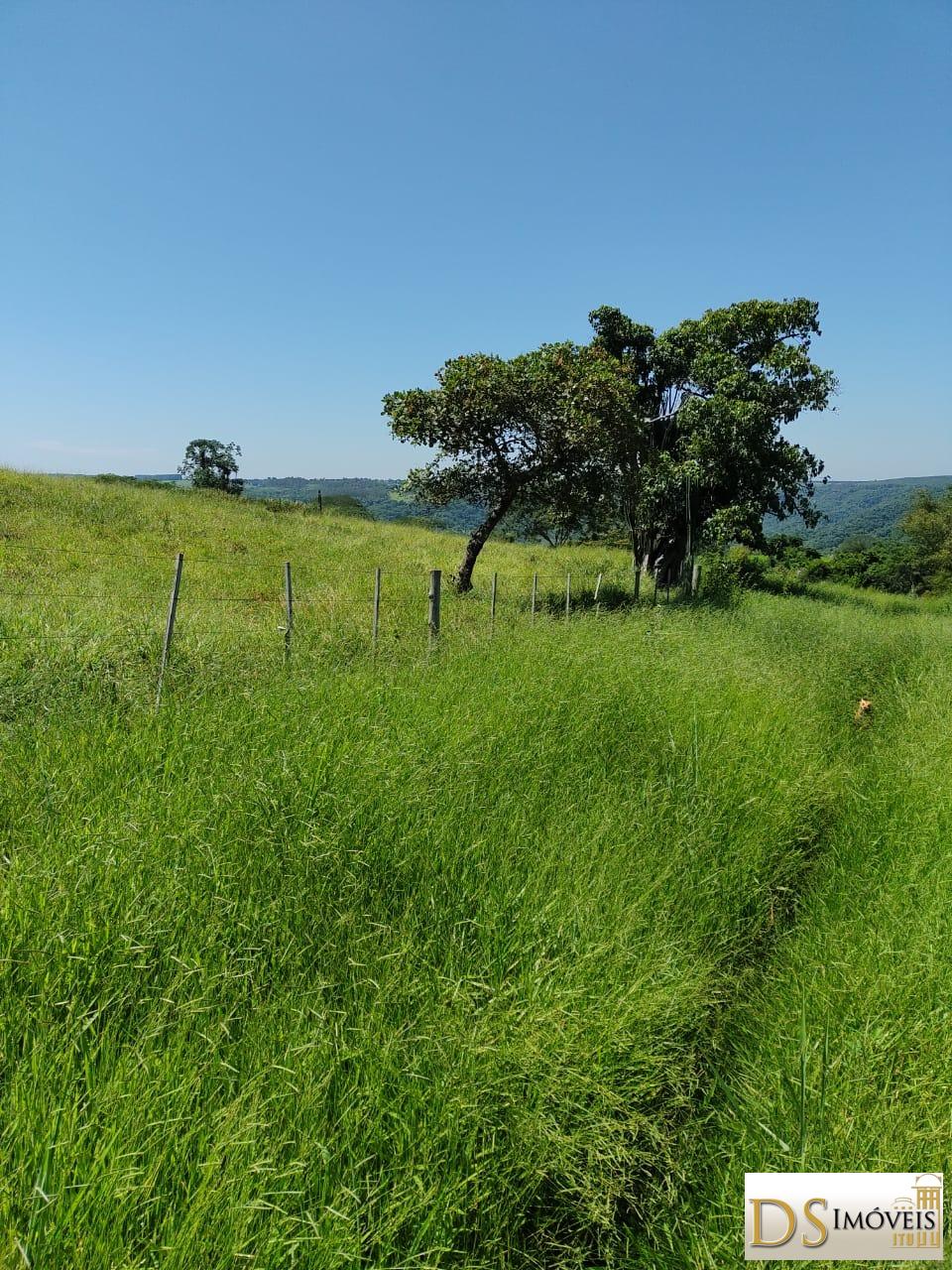 Fazenda em Garça/São Paulo — Ref MHO712 — Imagem 19