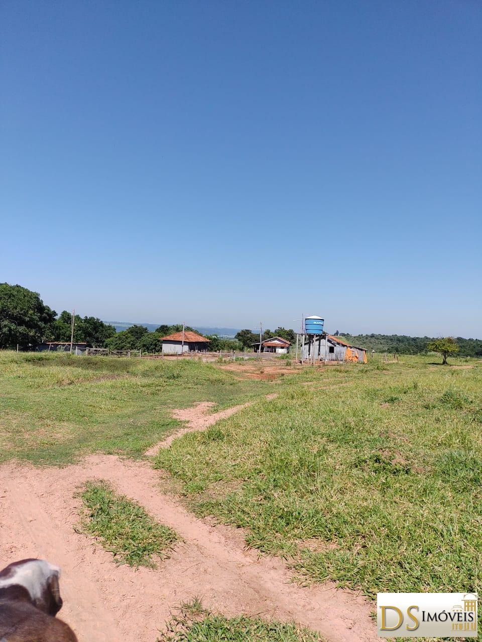 Fazenda em Garça/São Paulo — Ref MHO712 — Imagem 5