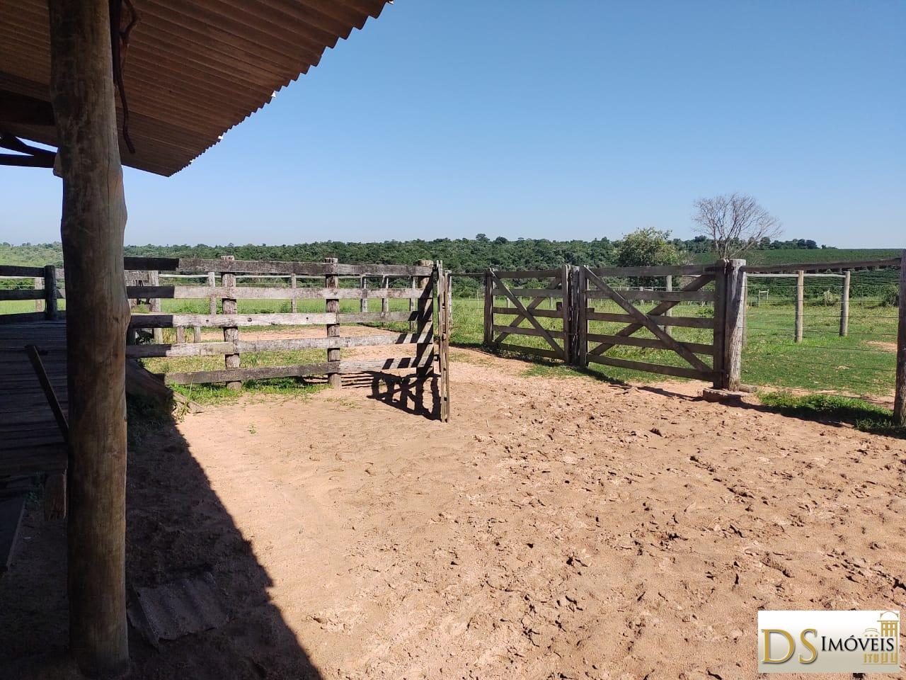 Fazenda em Garça/São Paulo — Ref MHO712 — Imagem 4