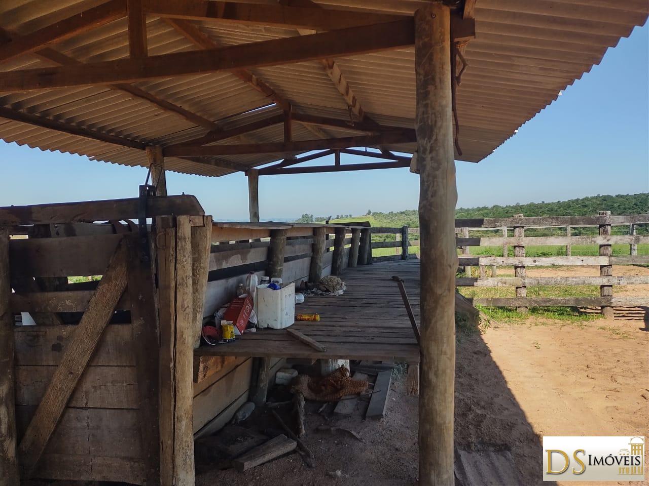 Fazenda em Garça/São Paulo — Ref MHO712 — Imagem 3