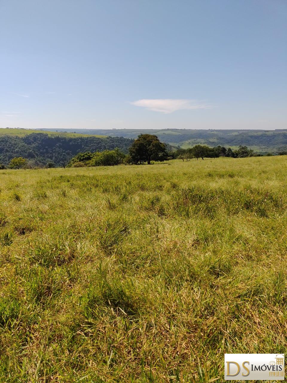 Fazenda em Garça/São Paulo — Ref MHO712 — Imagem 17