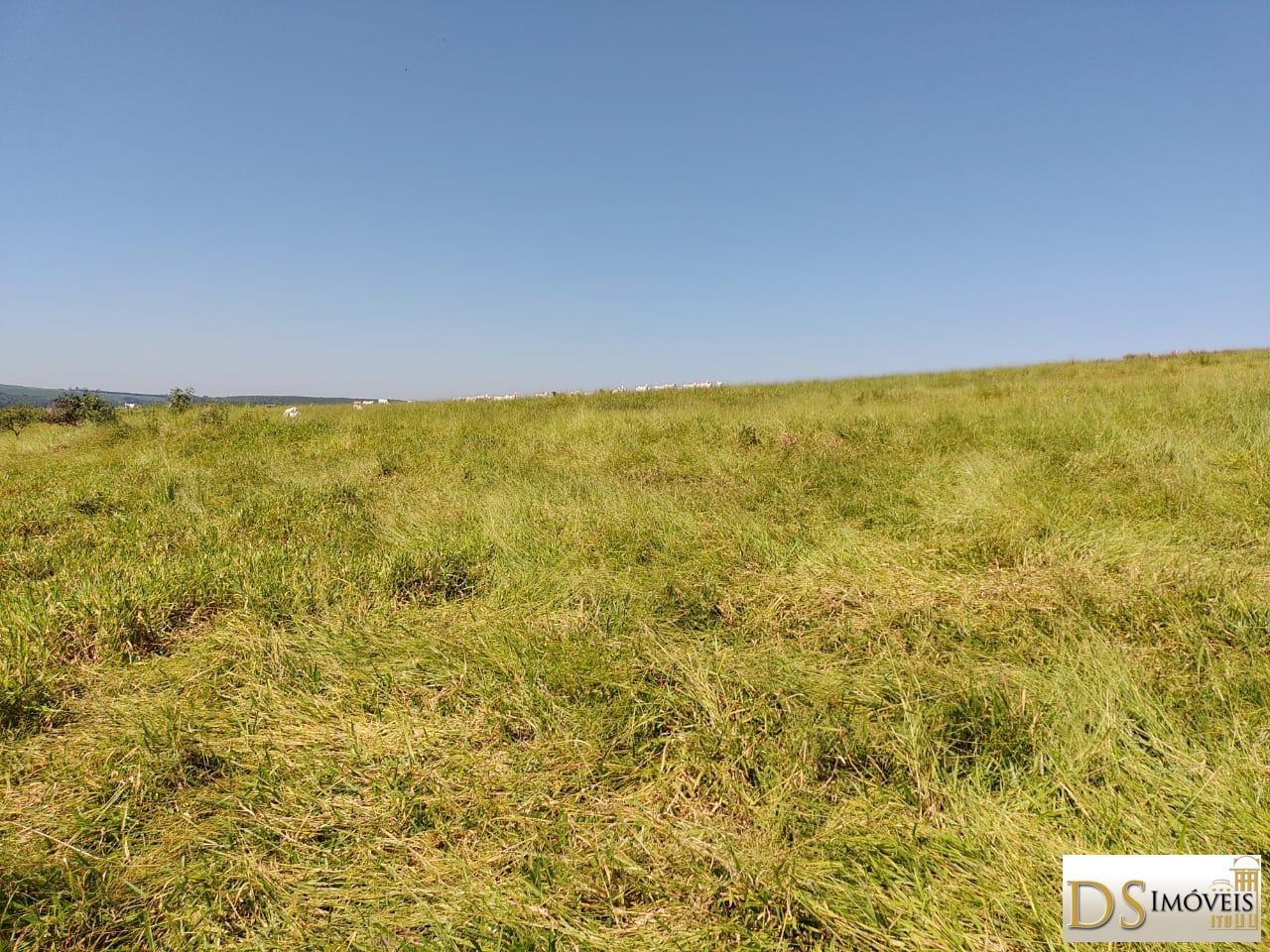 Fazenda em Garça/São Paulo — Ref MHO712 — Imagem 22