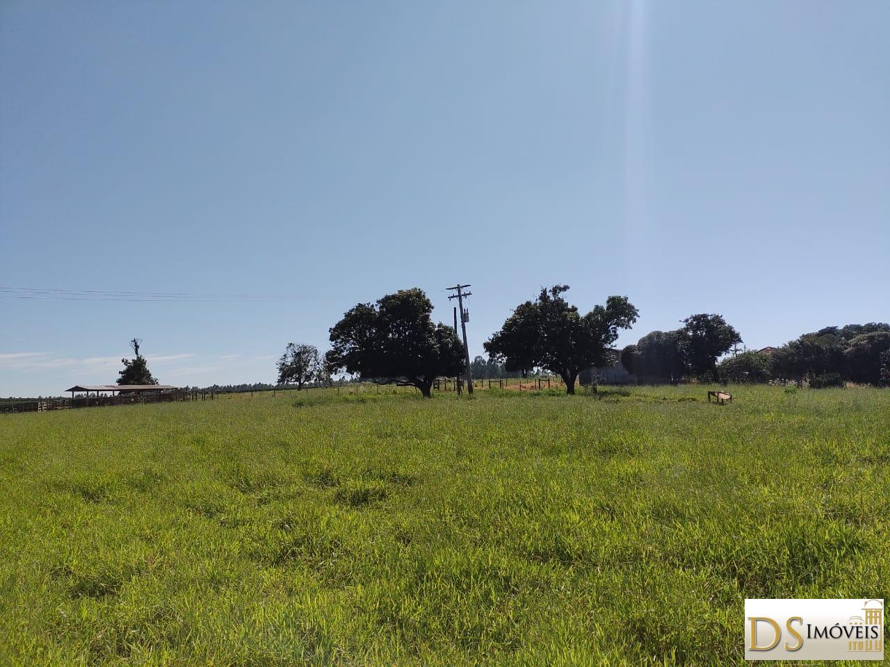 Fazenda em Garça/São Paulo — Ref MHO712 — Imagem 24