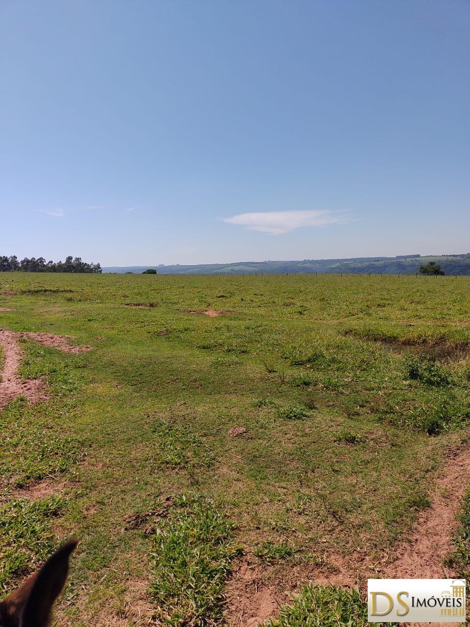 Fazenda em Garça/São Paulo — Ref MHO712 — Imagem 14