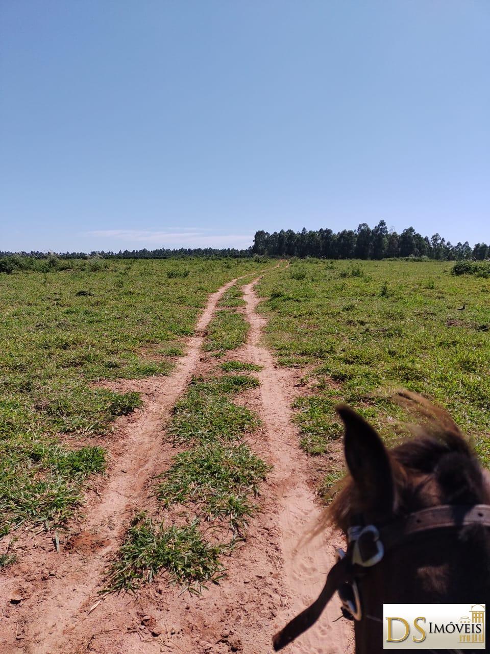 Fazenda em Garça/São Paulo — Ref MHO712 — Imagem 11