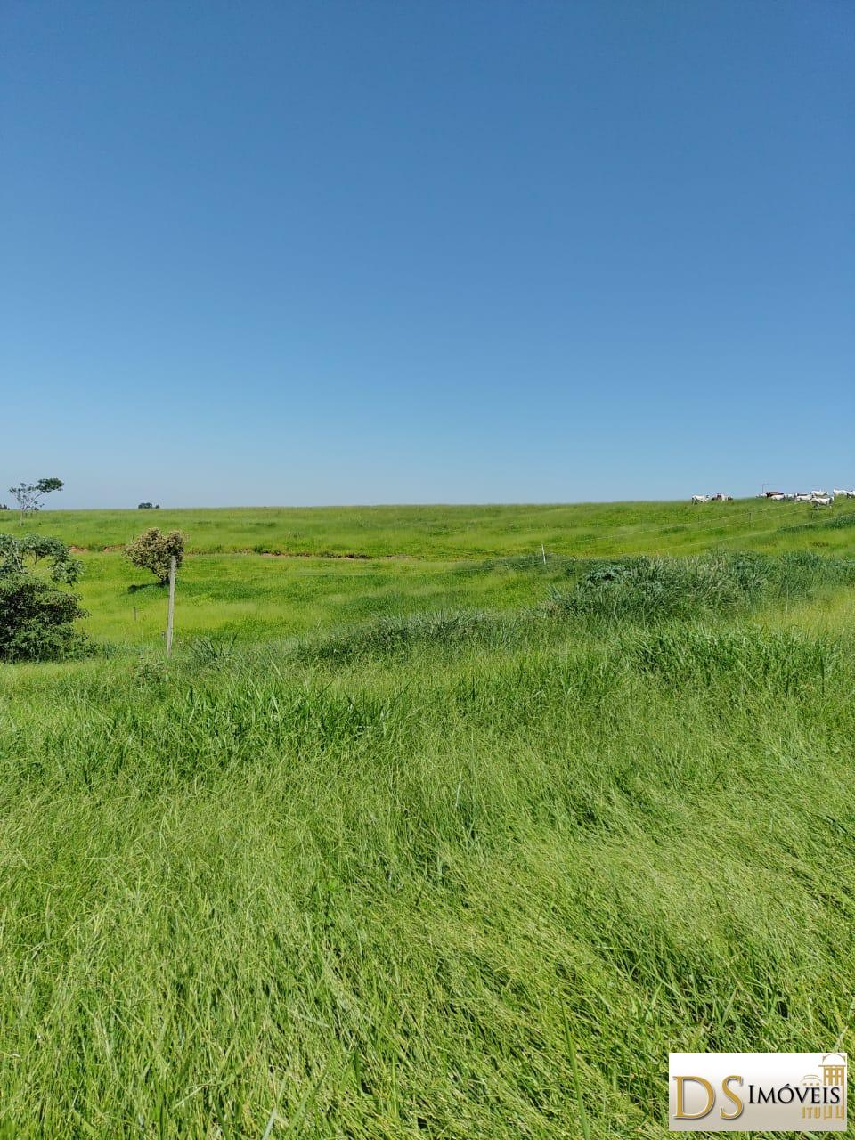 Fazenda em Garça/São Paulo — Ref MHO712 — Imagem 10