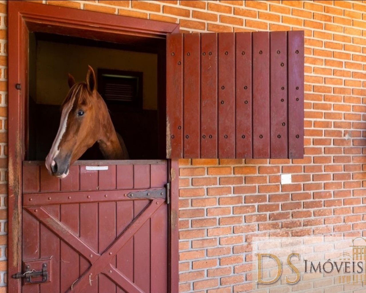 Haras em Cesário Lange/São Paulo — Ref CQHWO4 — Imagem 2