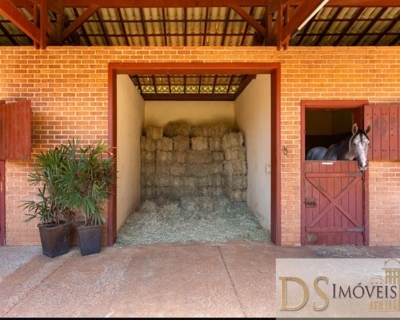 Haras em Cesário Lange/São Paulo — Ref CQHWO4 — Imagem 4