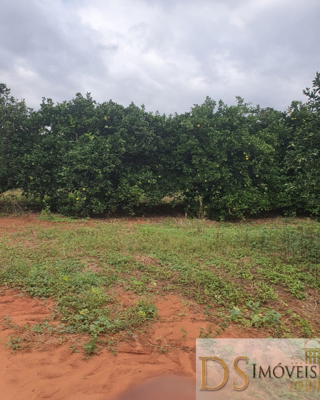 Fazenda em Guaimbê/São Paulo — Ref SY6C2L — Imagem 3