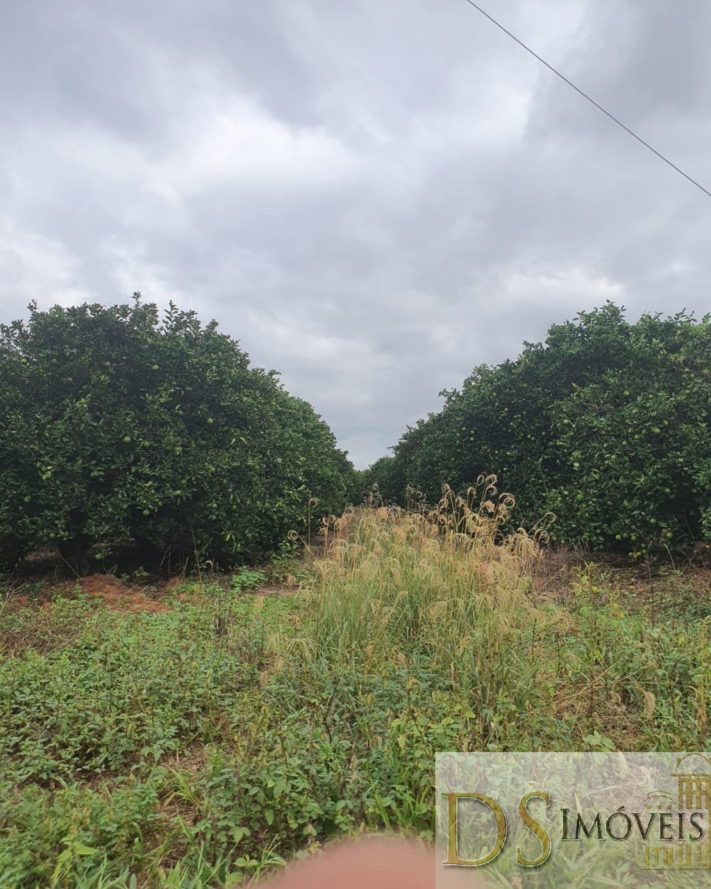 Fazenda em Guaimbê/São Paulo — Ref SY6C2L — Imagem 2