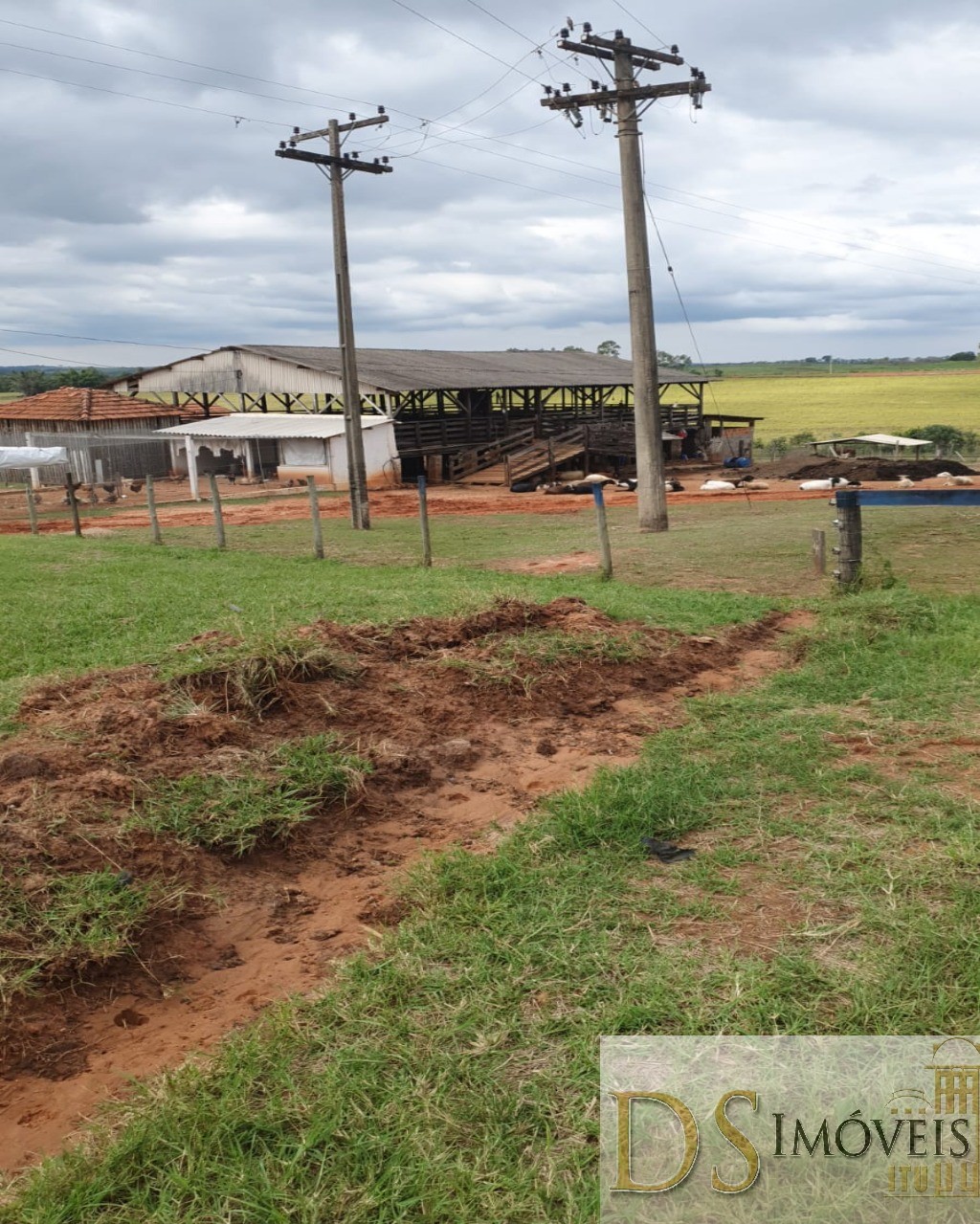 Fazenda em Guaimbê/São Paulo — Ref SY6C2L — Imagem 4